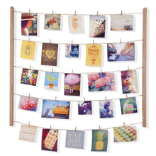 Hale Photo Display Picture Frame